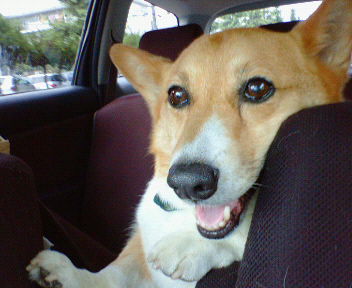 200807111629000.jpg