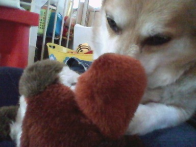 2011060816290000.jpg