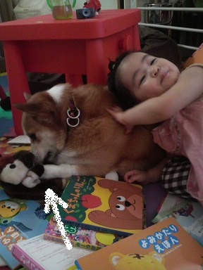 2011061711580000.jpg
