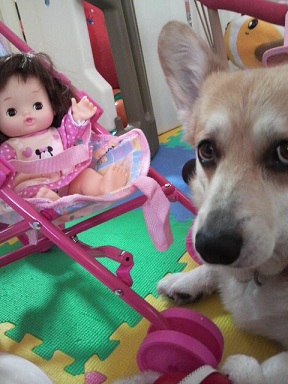 2011062014160000.jpg