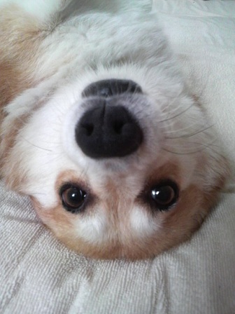2011072909080000.jpg