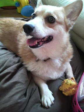 2011080511080000.jpg