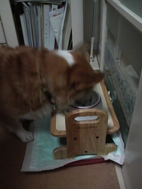 2011083122190000.jpg