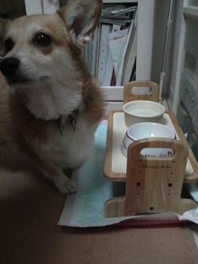 2011083122190001.jpg