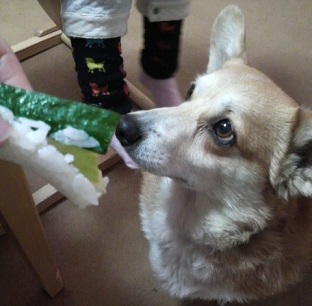 2012020314040000.jpg