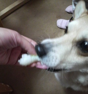 2012020314050000.jpg
