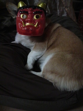 2012020318400000.jpg