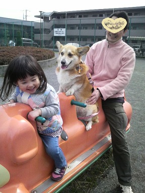 2012032613170000.jpg