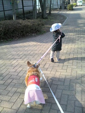 2012032715420000.jpg