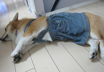 どっちが上4.JPG