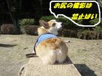 禁止ばい2.jpg