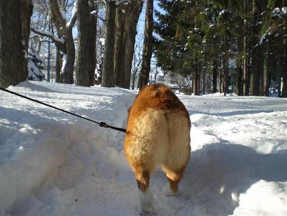 雪とテケテケオチリ.jpg
