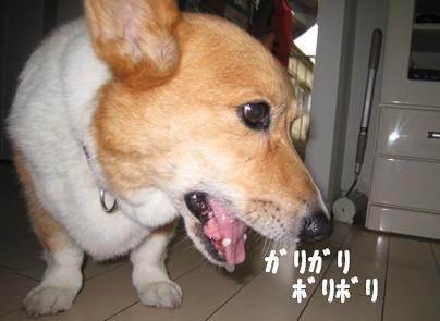 氷1.JPG