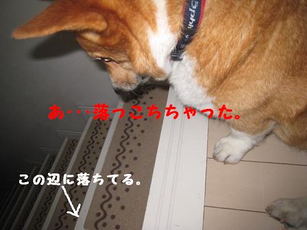氷2.JPG