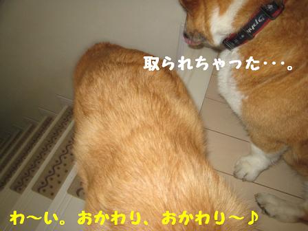 氷3.JPG