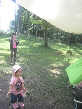 IMG_3123.jpg