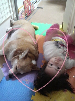 2011051015060000.jpg