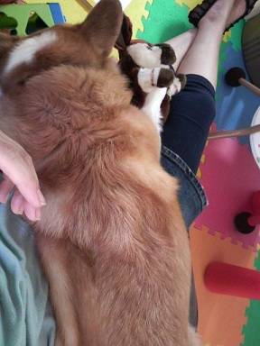 2011060816300000.jpg