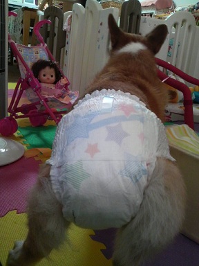 2011062014150000.jpg