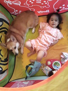 2011062810370000.jpg