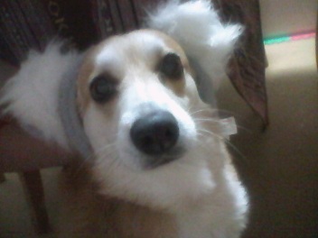 2012021919540000.jpg