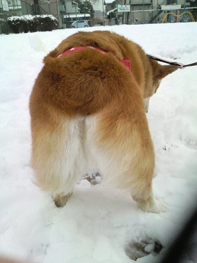 2012022916560000.jpg